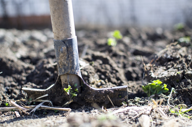 jardinerie-BEAUSOLEIL-min_equipment-2047314